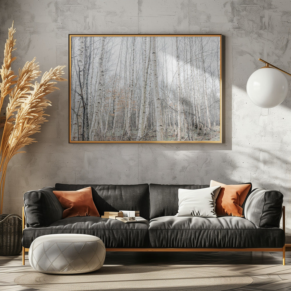 Berkenbomen 9 | Poster