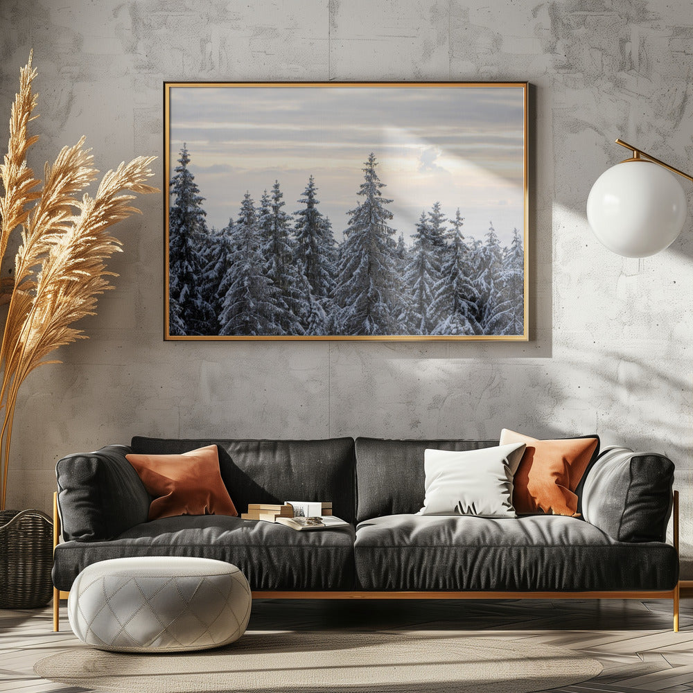 Besneeuwde bomen 8 | Poster
