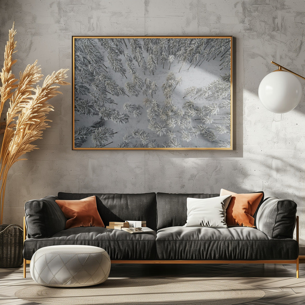 Besneeuwde bomen 3 | Poster