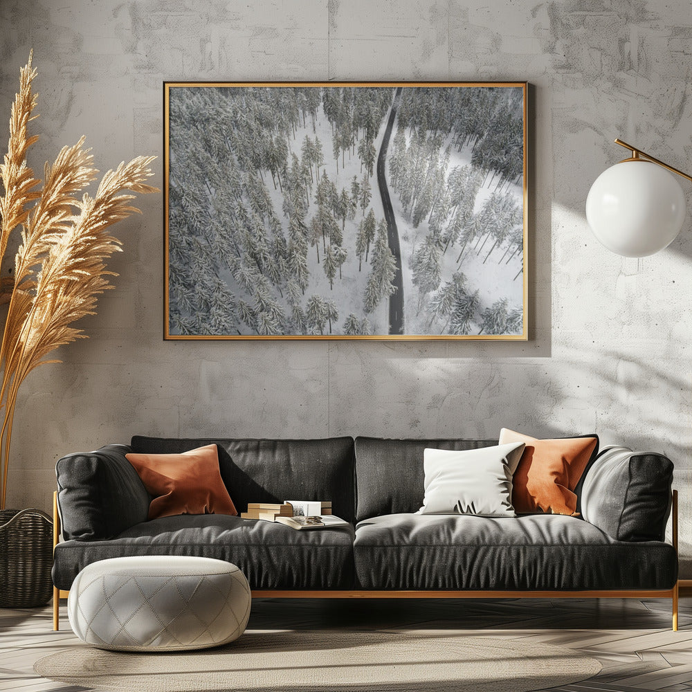 Besneeuwde bomen 5 | Poster