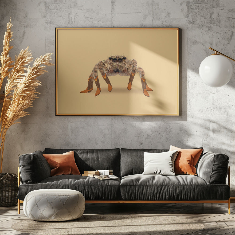 Lydia de Langste Cowgirl Spin | Canvas
