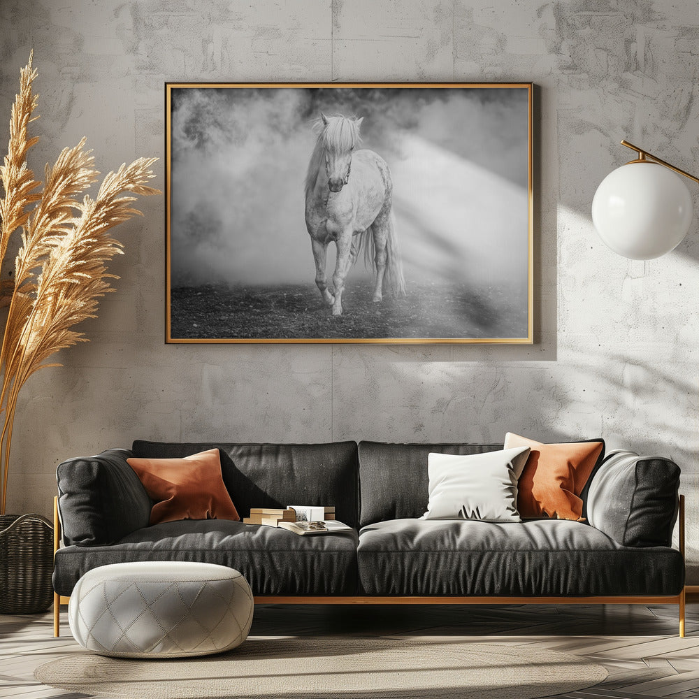 En er kwam een wit paard | Canvas