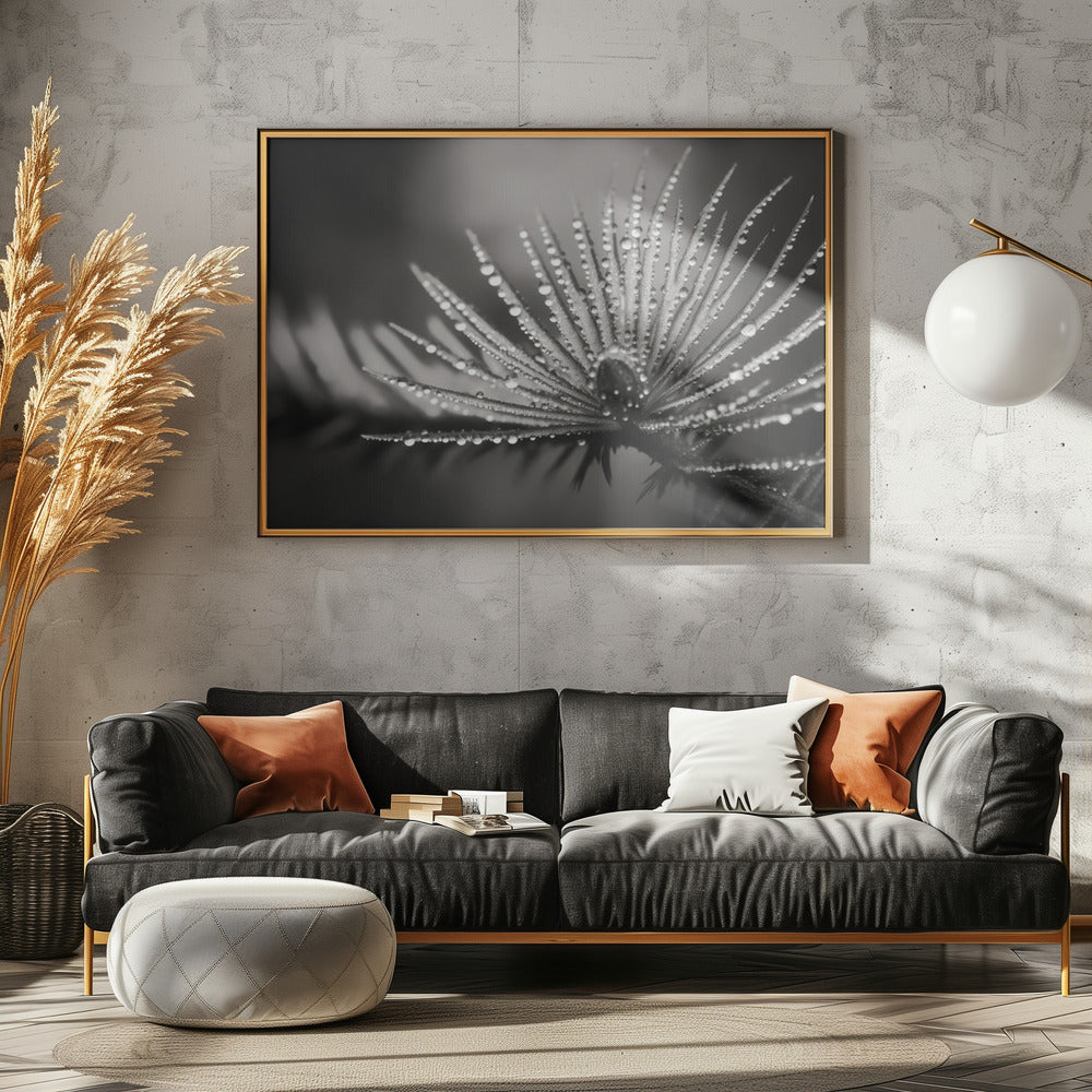 Dauwige elegantie | Poster