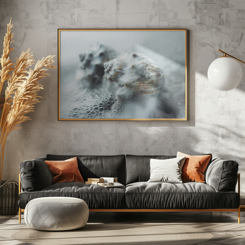 Schelpen in de mist van de oceaan | Canvas