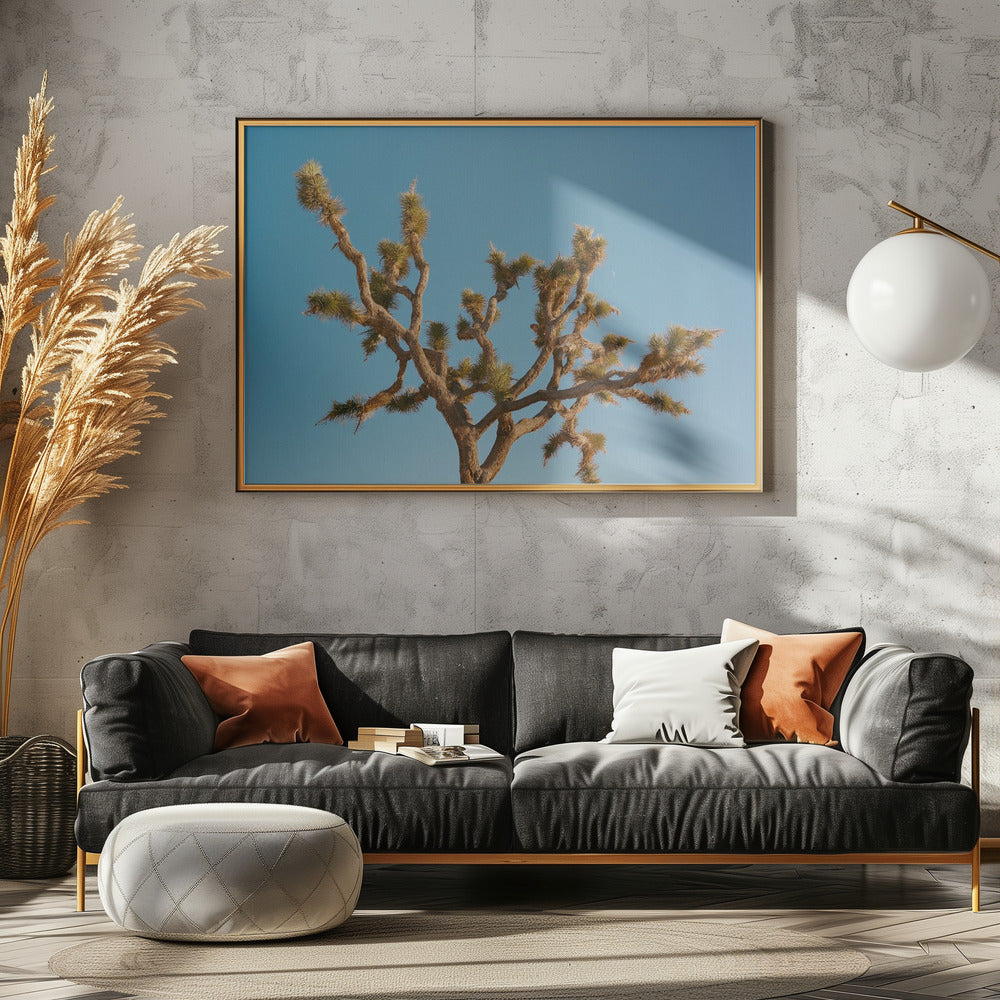Joshua Tree Moon III | Poster