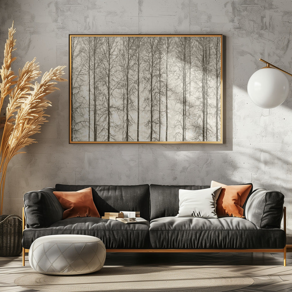 Espen | Canvas