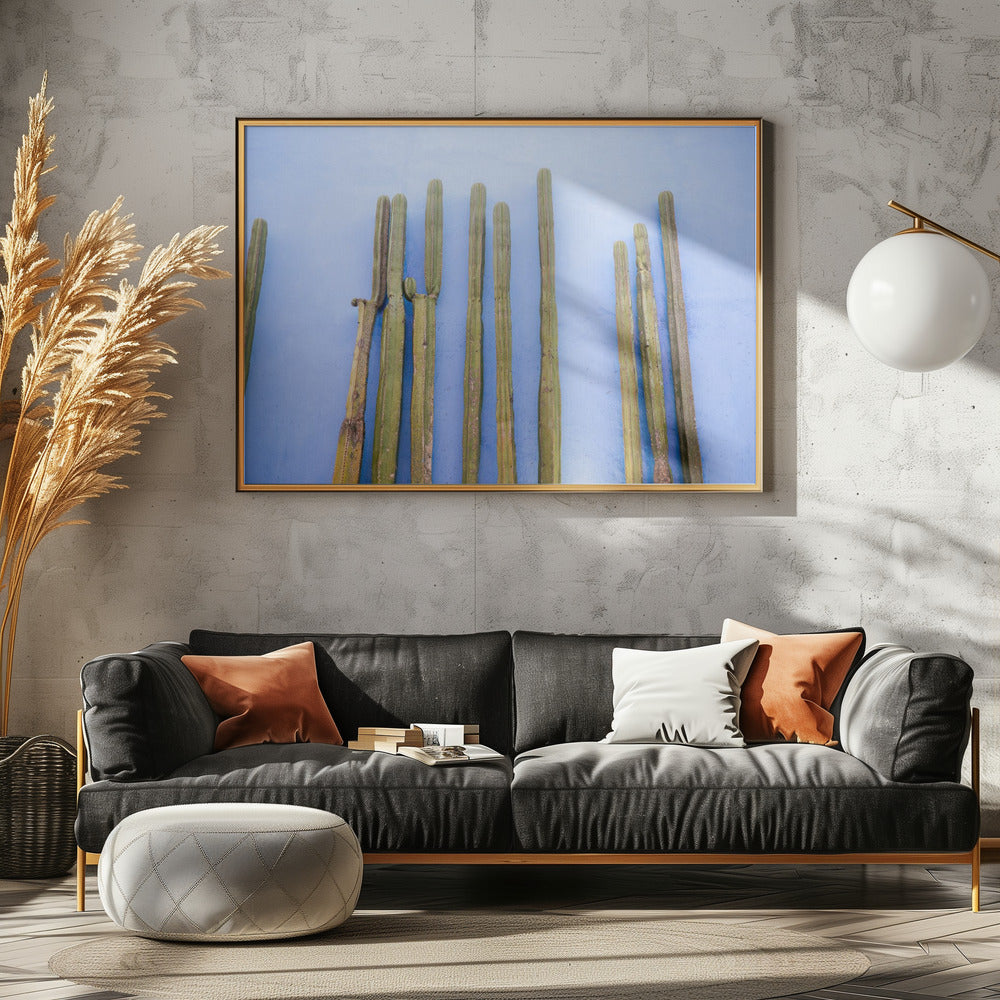 Hoge cactussen op blauw | Reizen in Oaxaca, Mexico | Canvas
