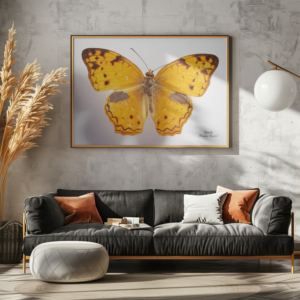 Butterfly - 10 | Poster