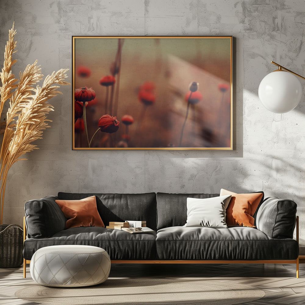 Poppy Dreams | Poster
