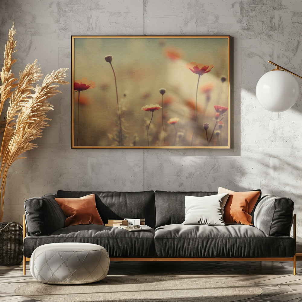 Fluisterende klaprozen | Canvas