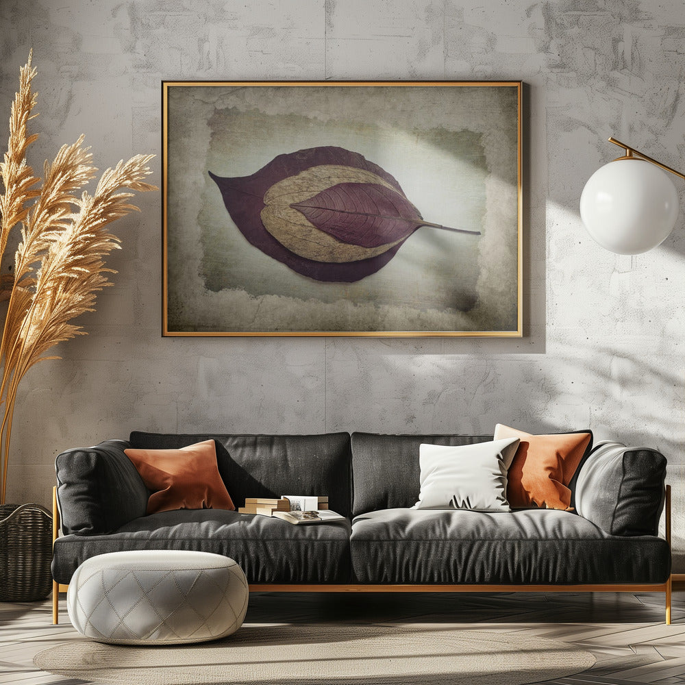The Story of Nature | Poster