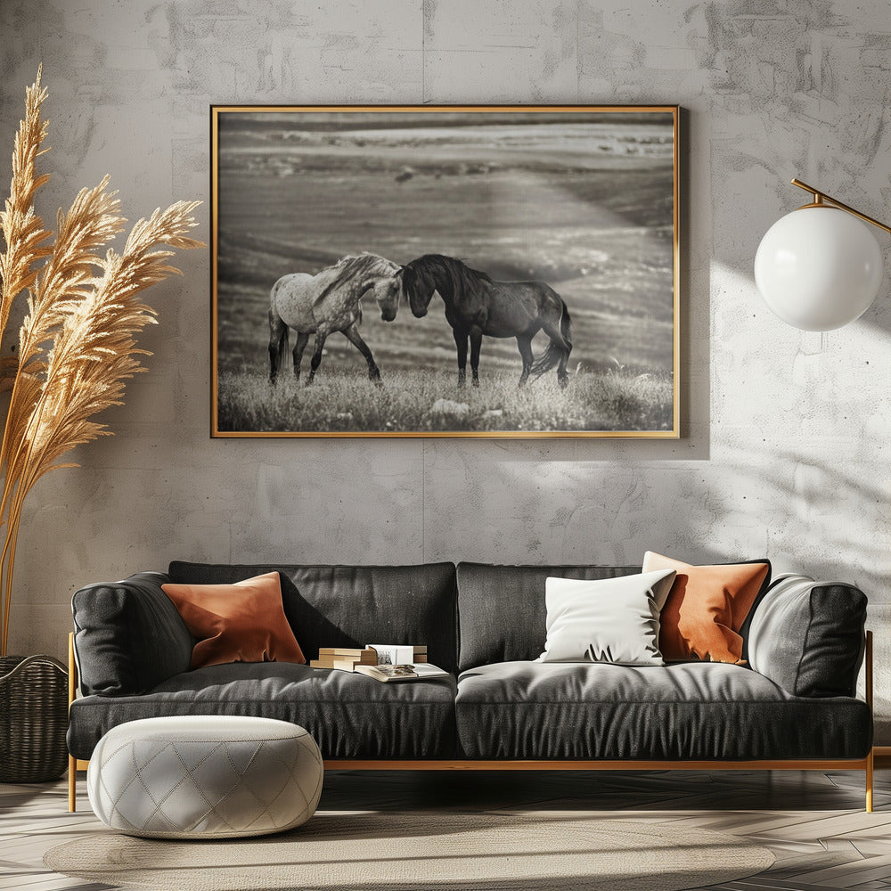 nauwe ontmoeting | Canvas