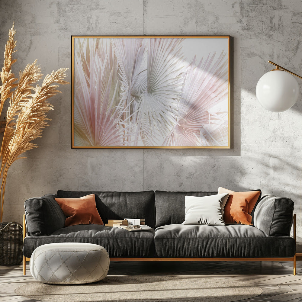 Palma | Canvas