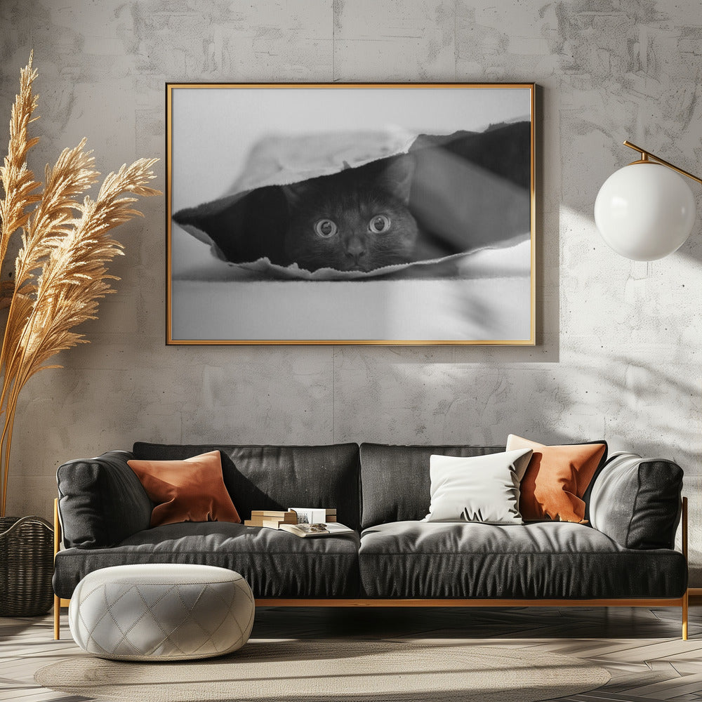 Kat in de zak | Canvas