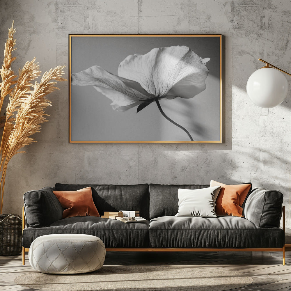 Delicate Bloemblaadjesdans | Canvas