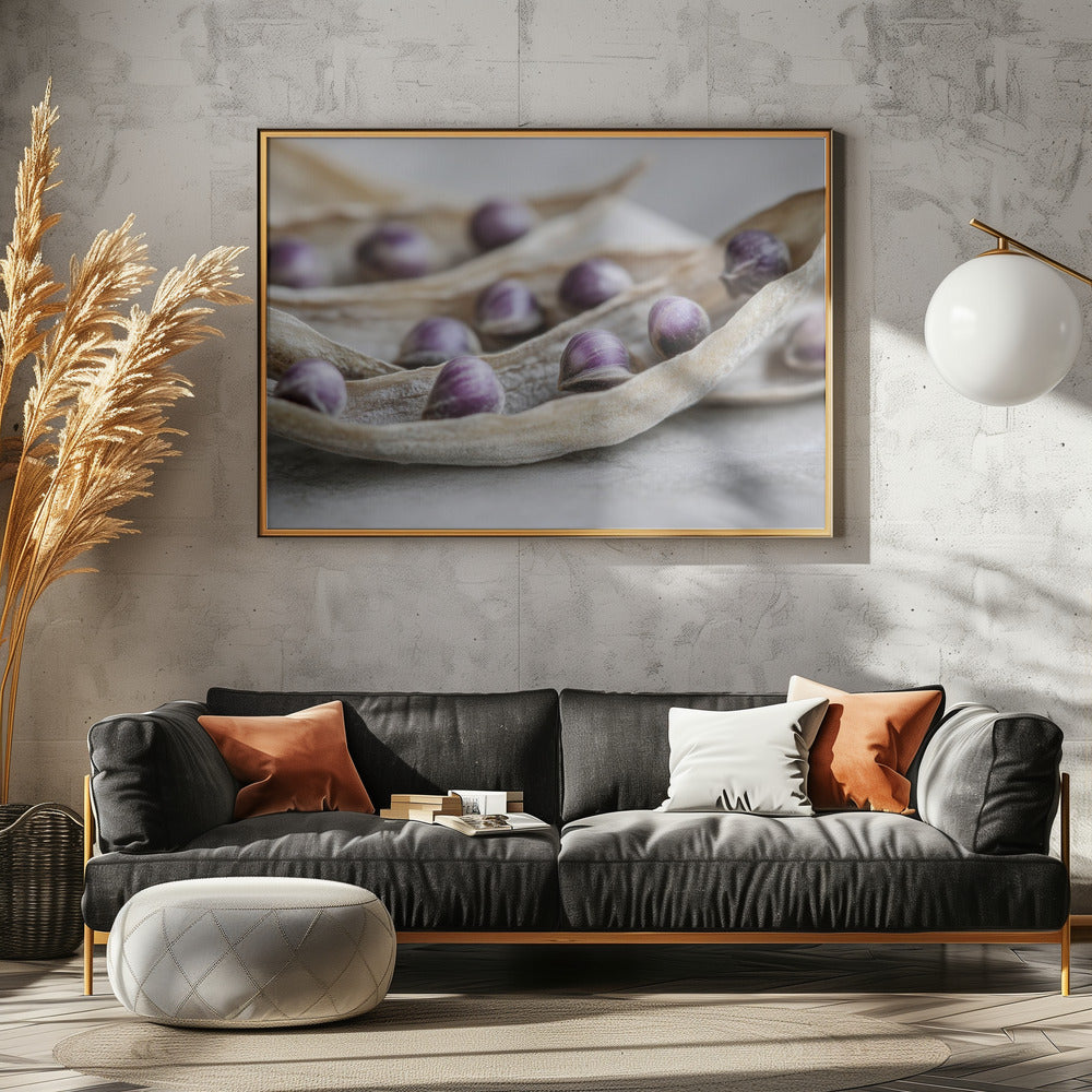 Paarse Zaad Symfonie | Poster