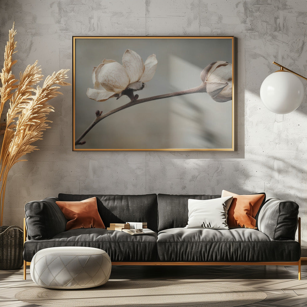 Delicate bloemblaadjes | Poster
