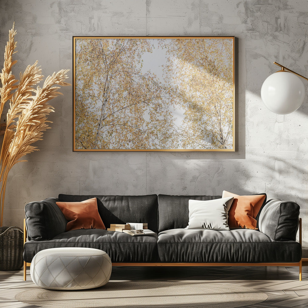 Berkenbomen | Canvas