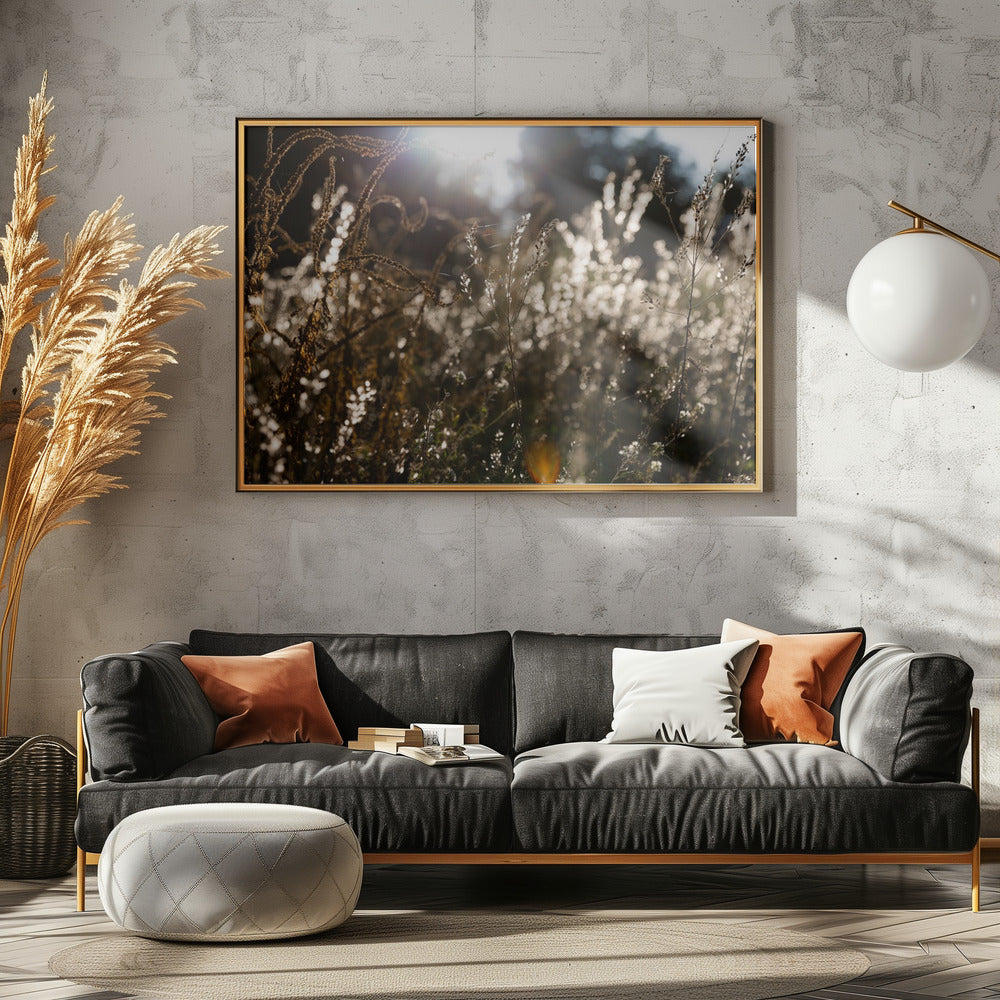 Warm Winterlicht 7 | Canvas