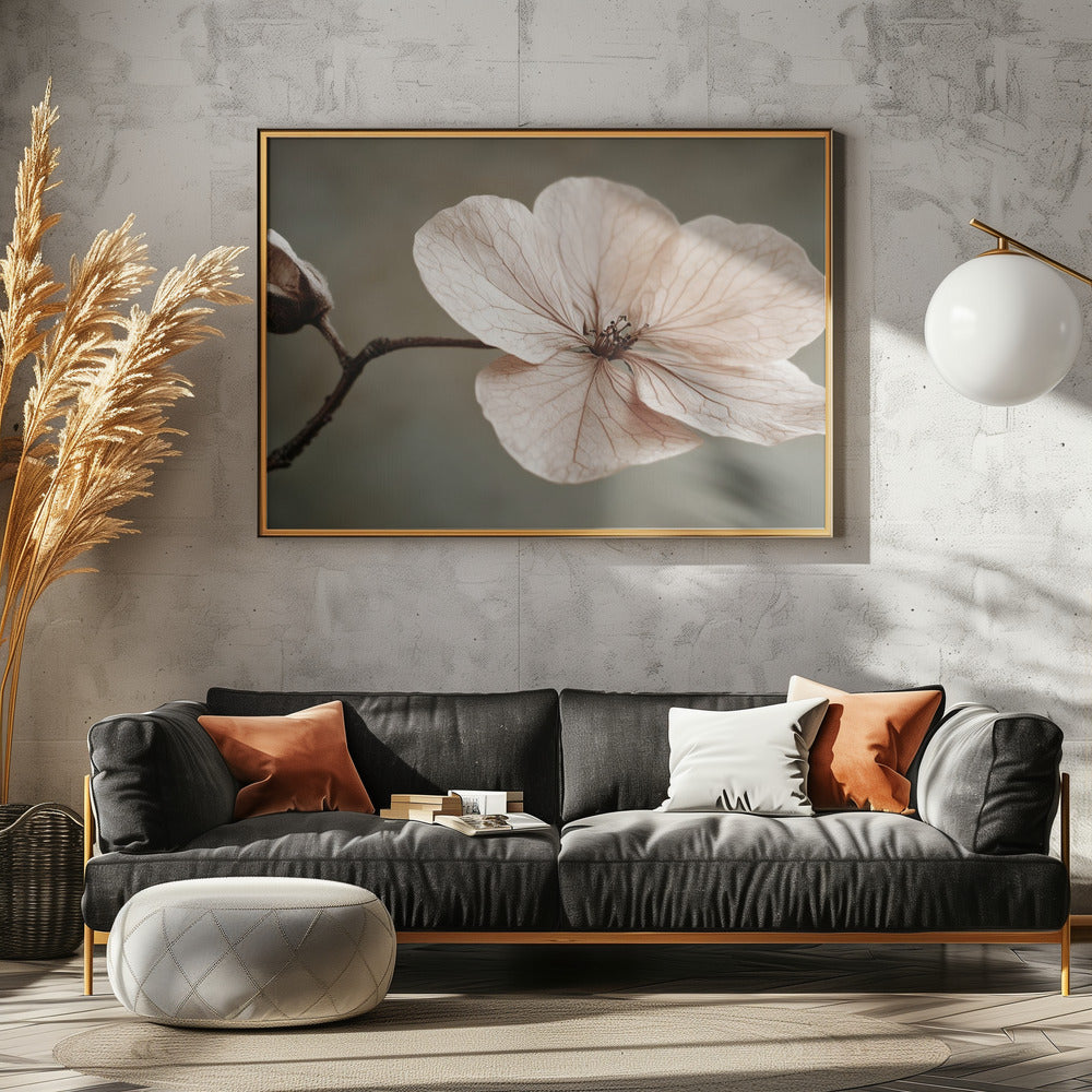 Delicate Bloom | Canvas