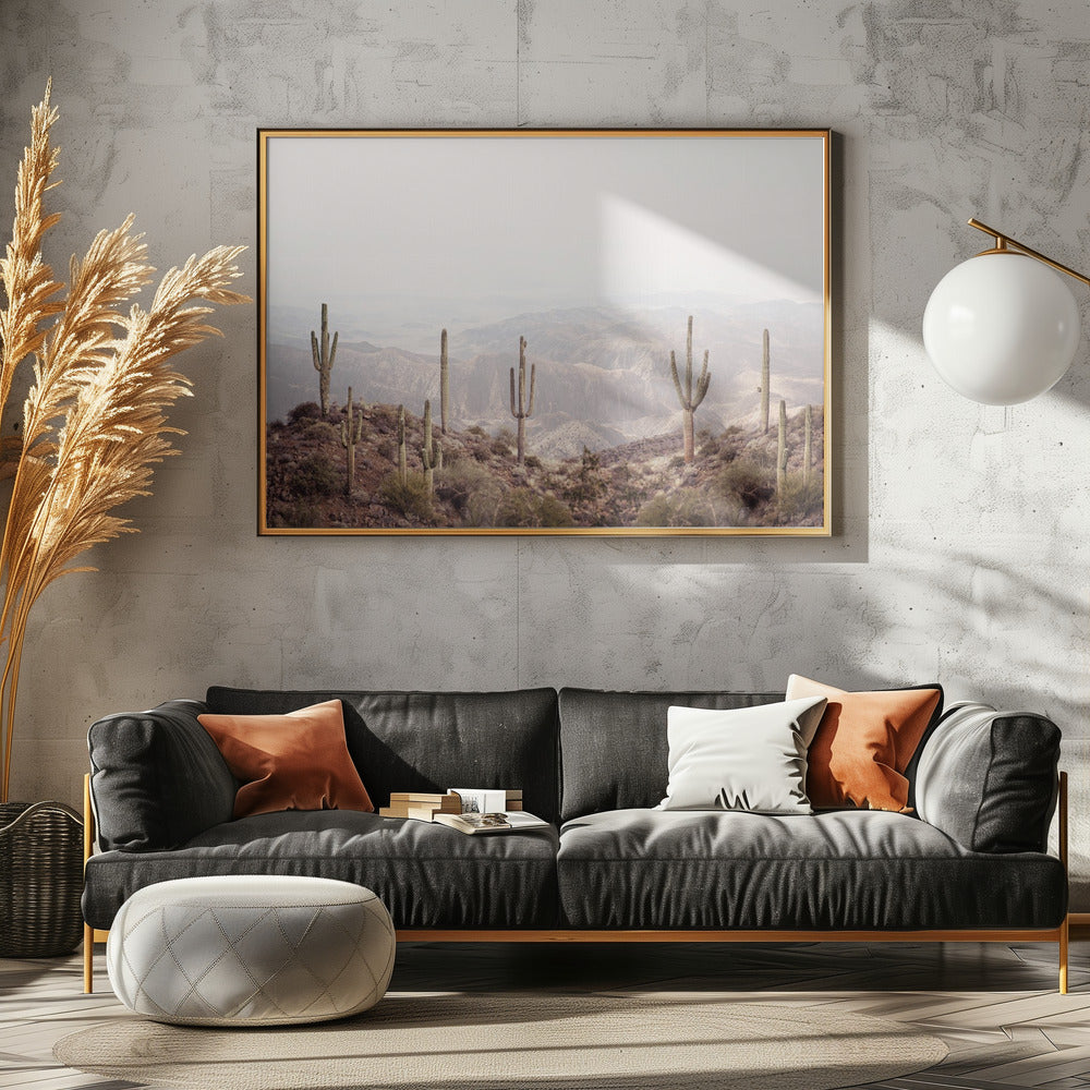 Arizona Vallei | Poster