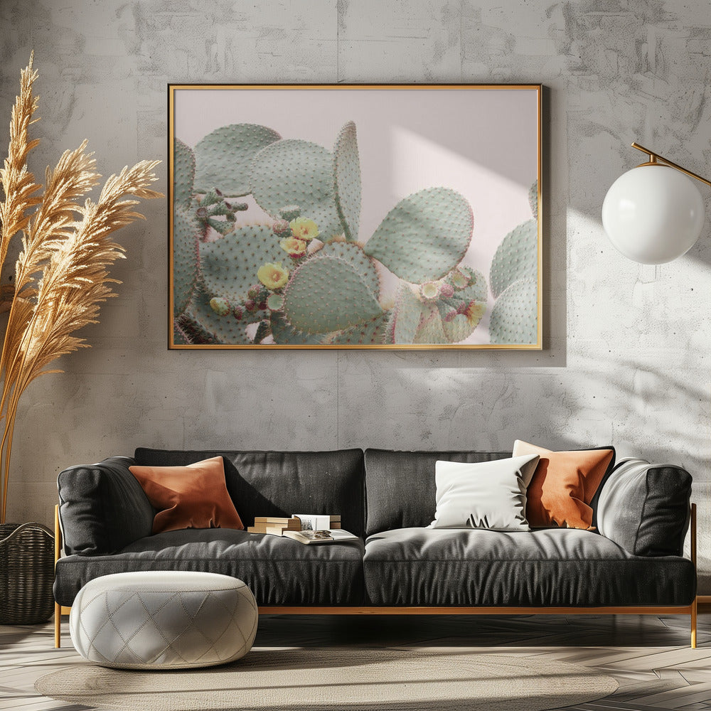 Bloeiende Cactus | Canvas