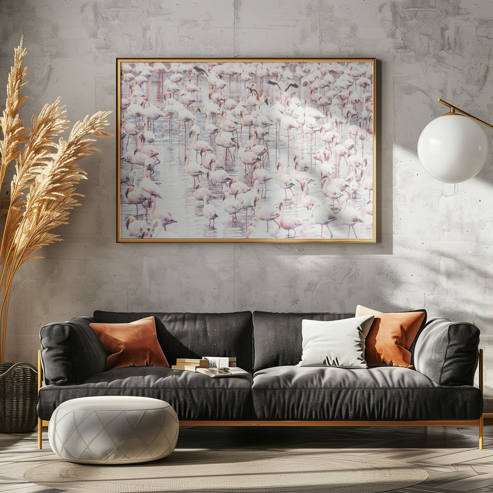 Flamingo's | Canvas