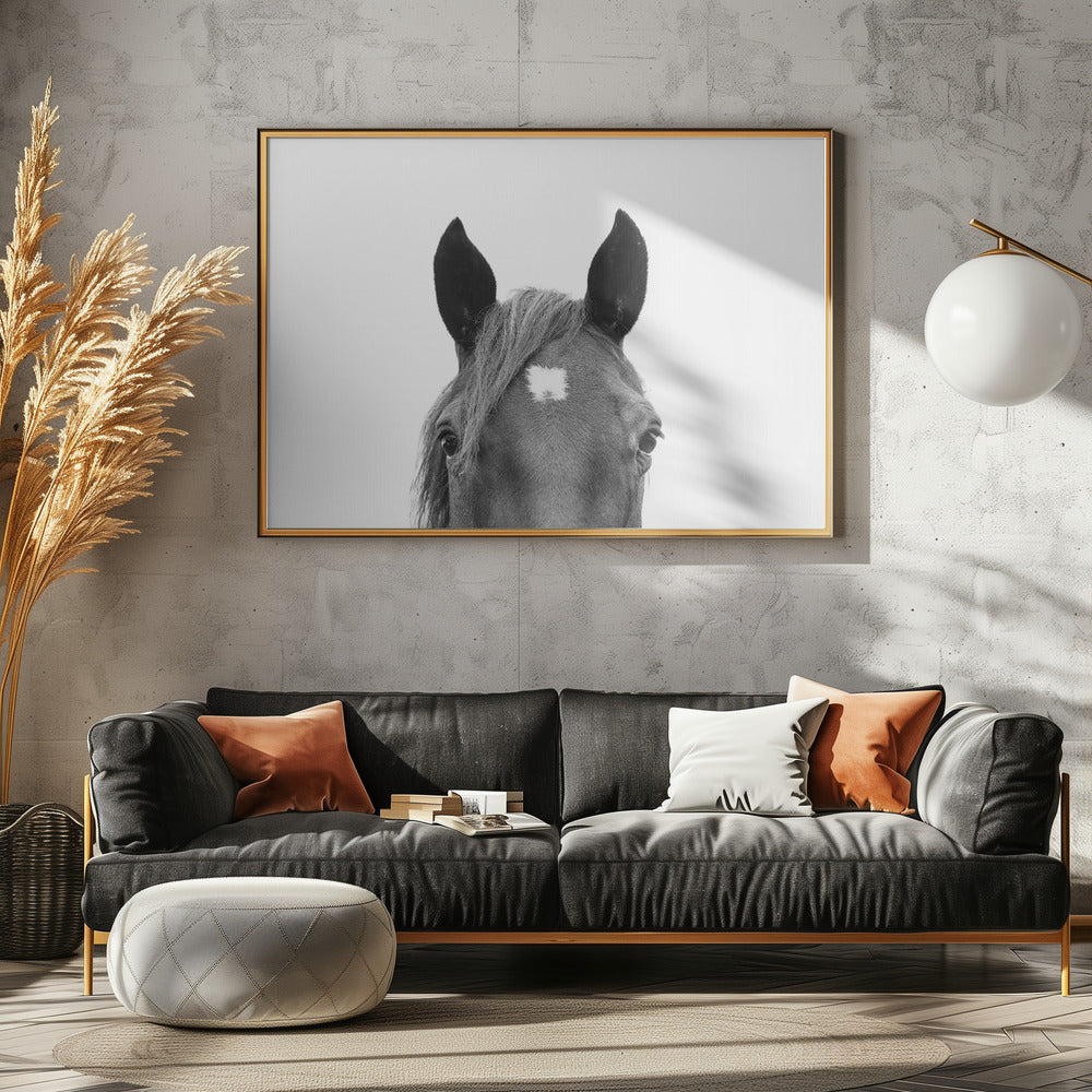 Glurend paard | Canvas