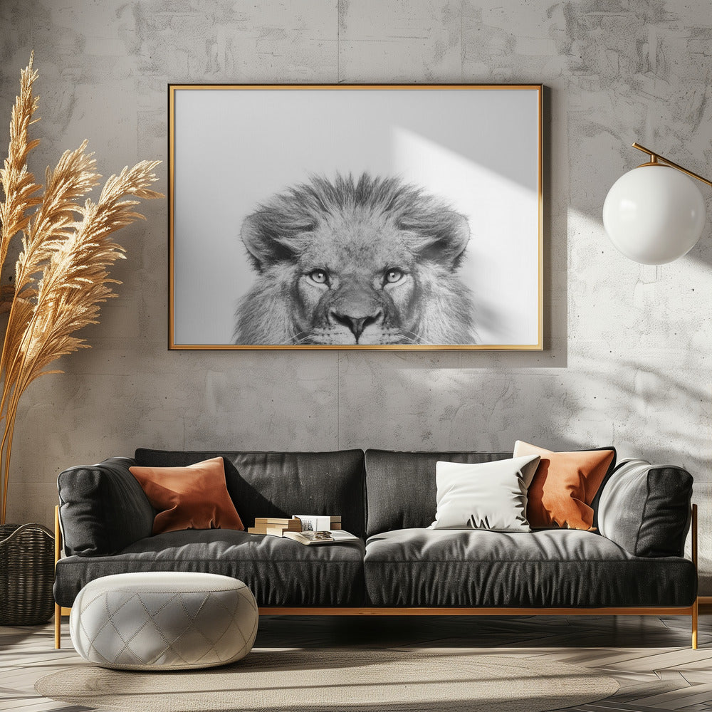 Glurende Leeuw | Canvas