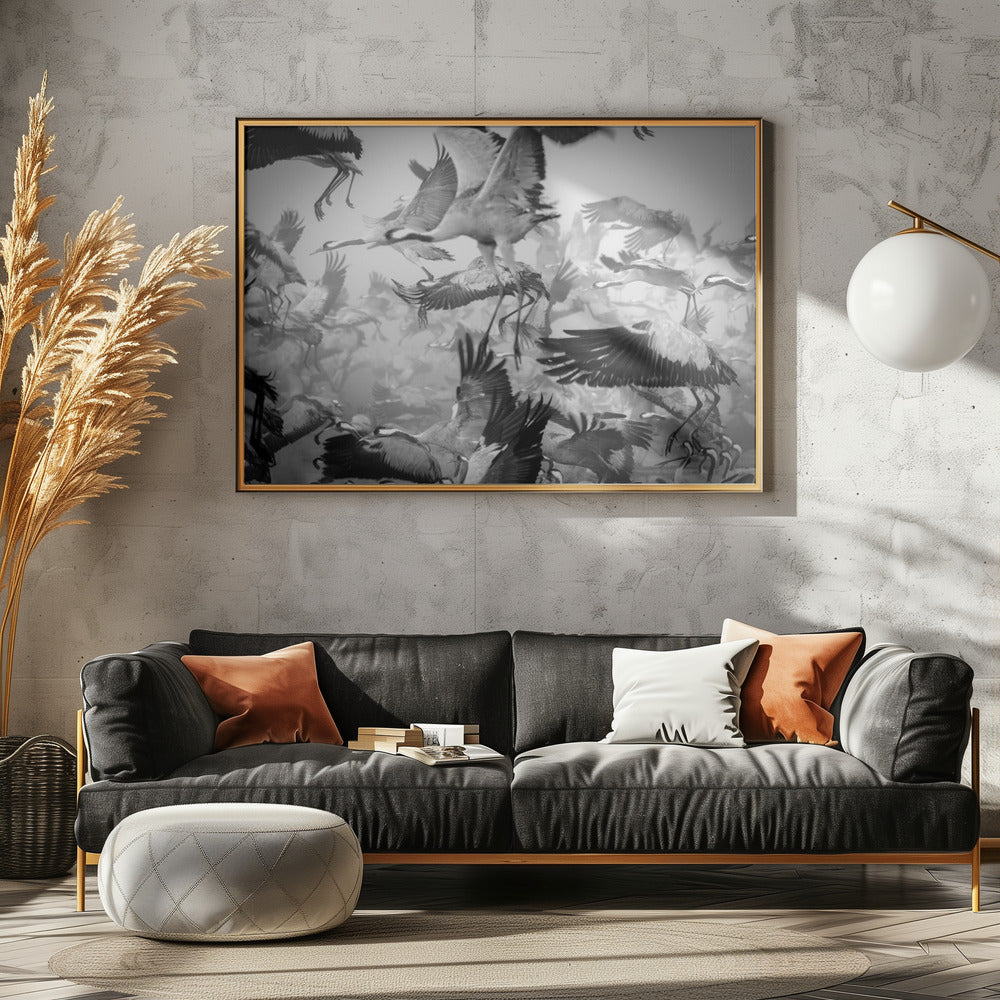 Chaos | Canvas