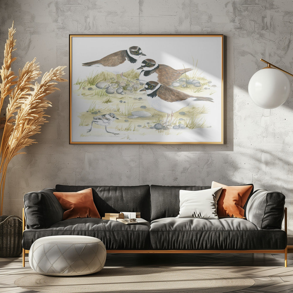 Plevieren | Canvas