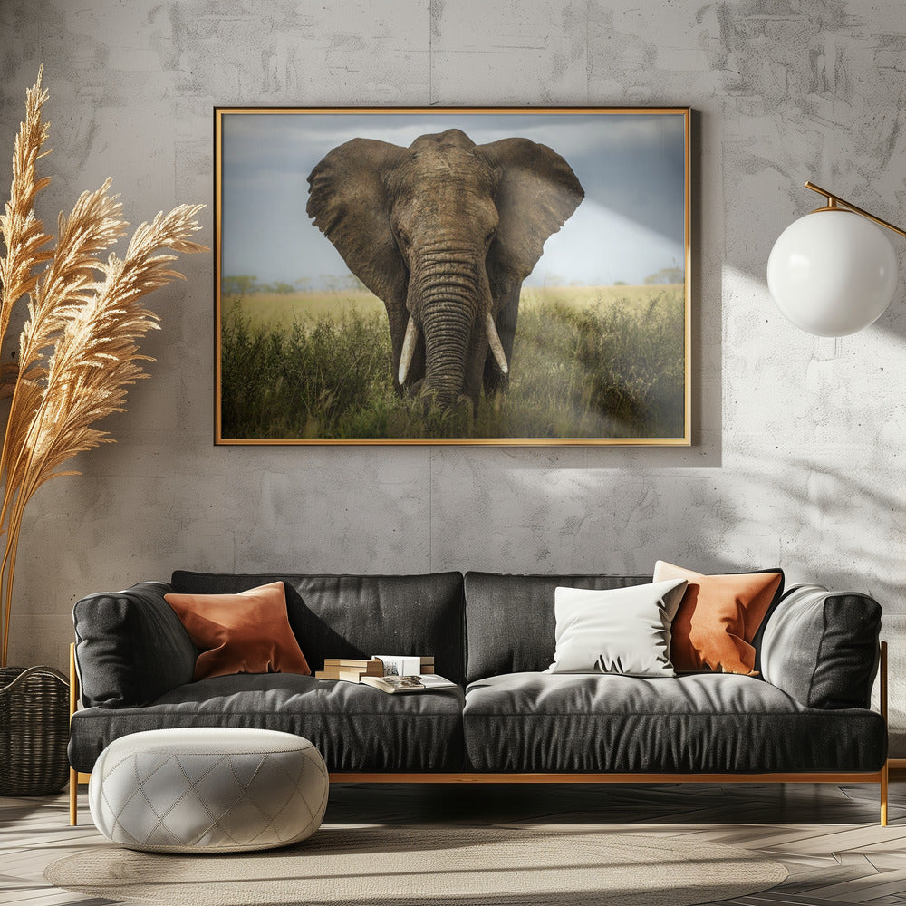 Ontmoetingen in Serengeti | Canvas
