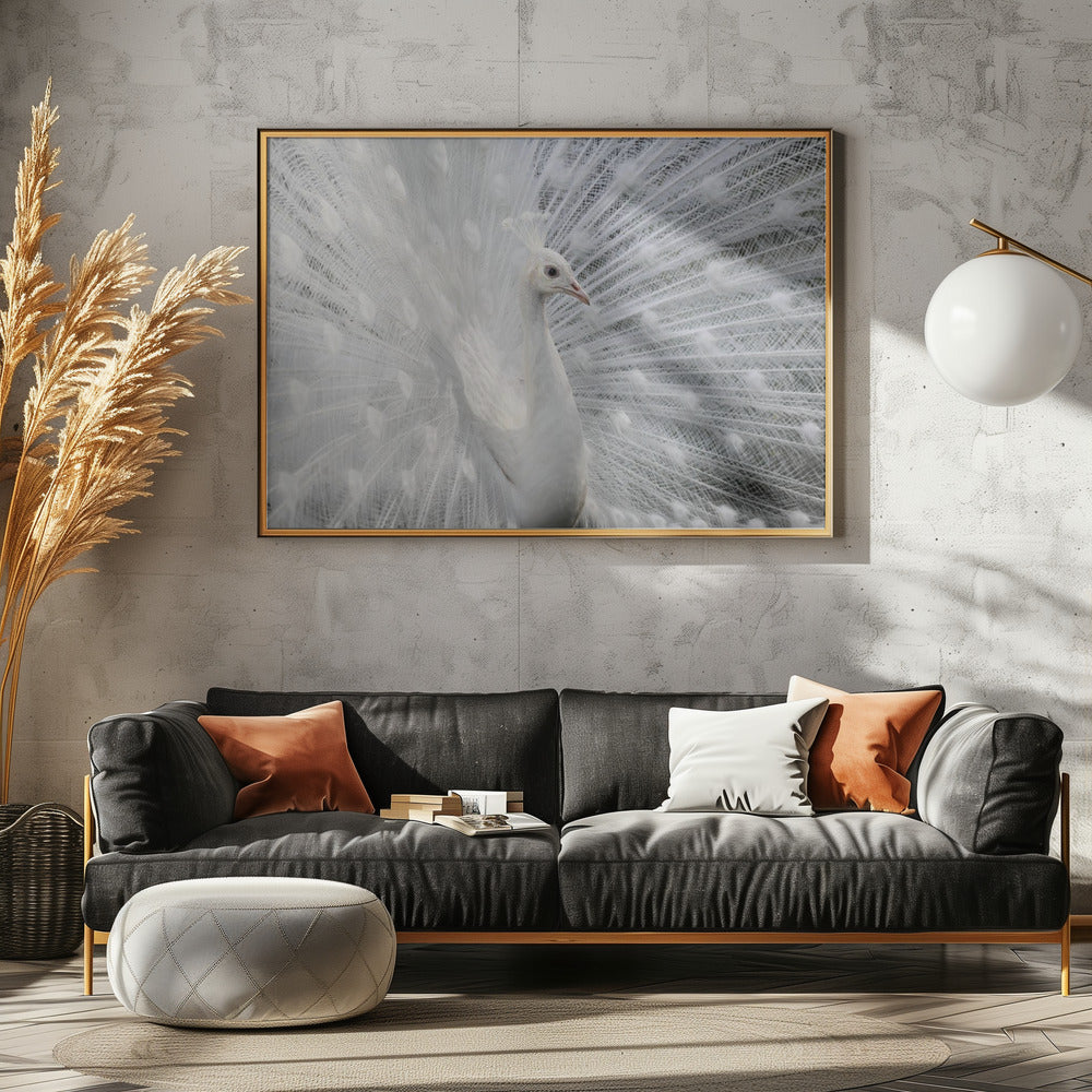 Zo wit als sneeuw | Canvas