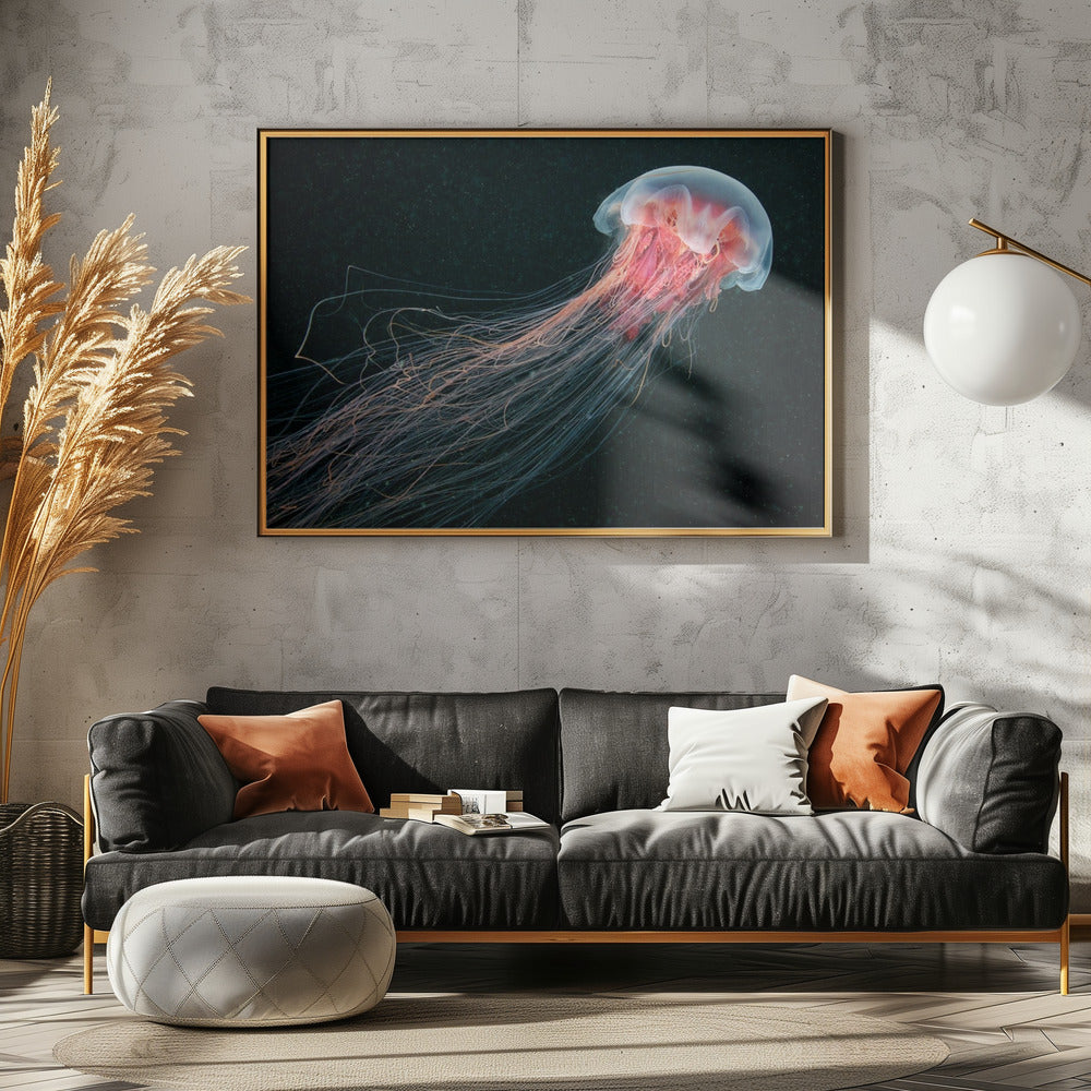 Langstaart | Canvas