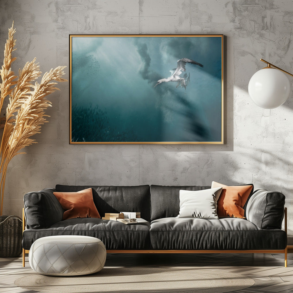 duiker | Canvas