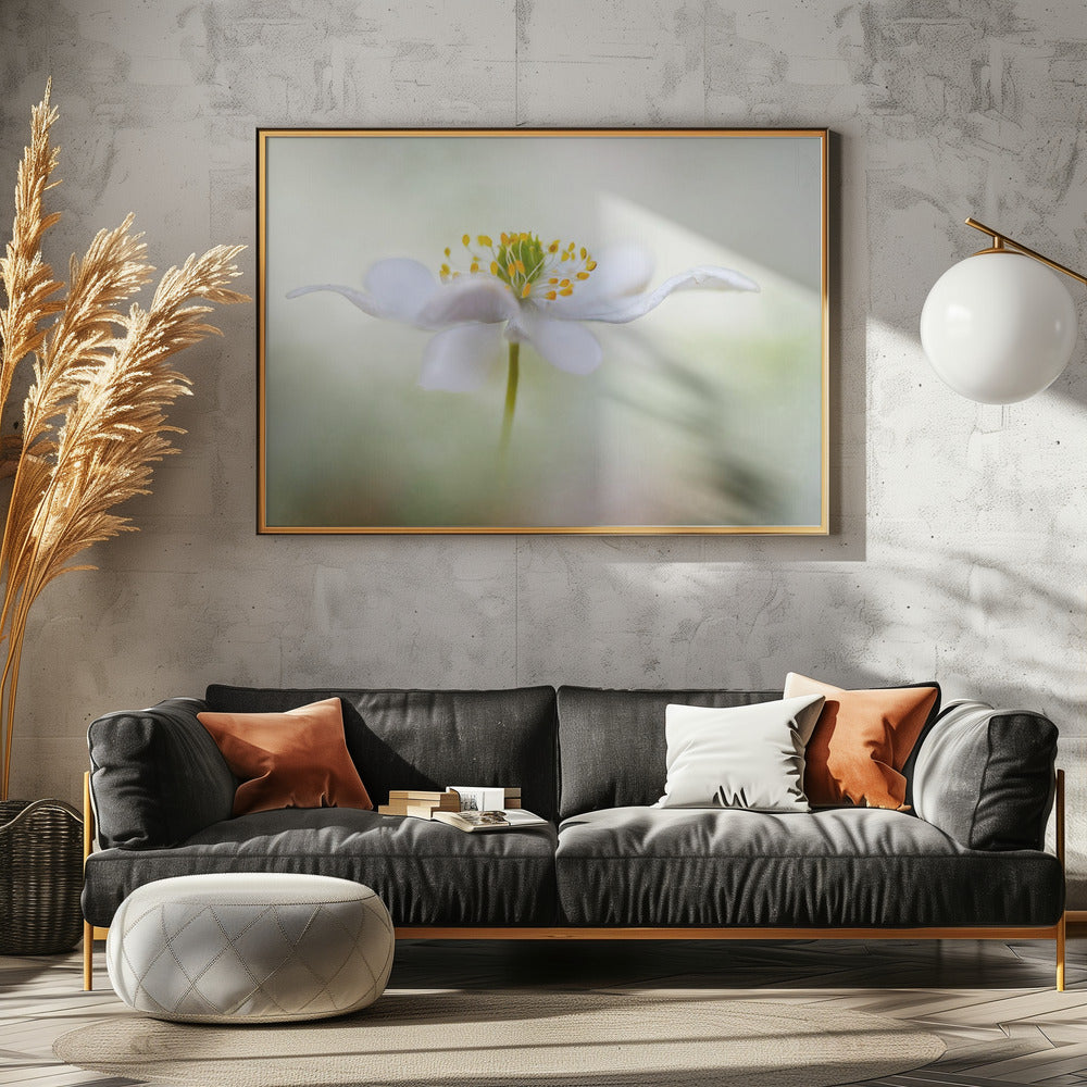 Nemorosa* | Canvas