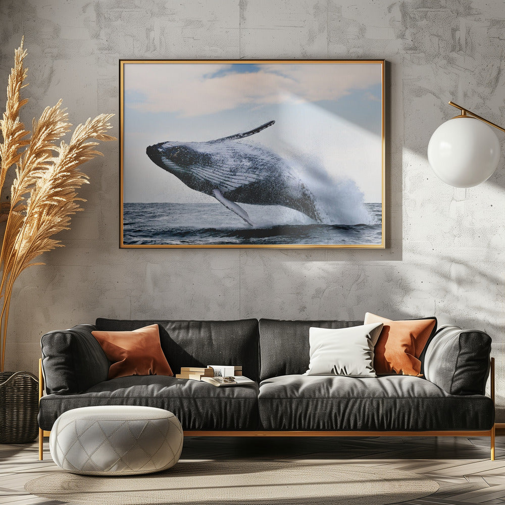 inbreuk | Canvas