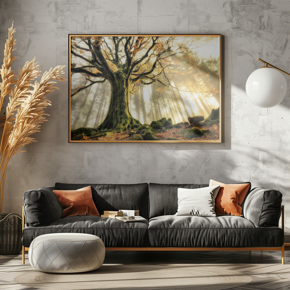 November | Canvas