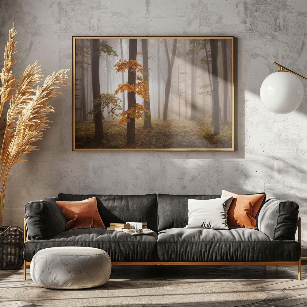 In novemberlicht | Poster