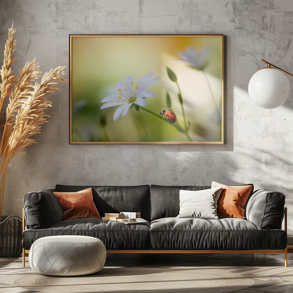 Zomerse schoonheden | Canvas