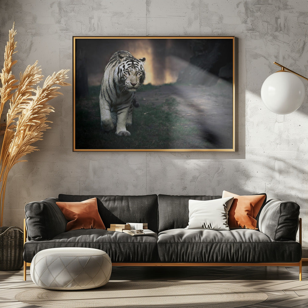 Witte wandelaar | Canvas