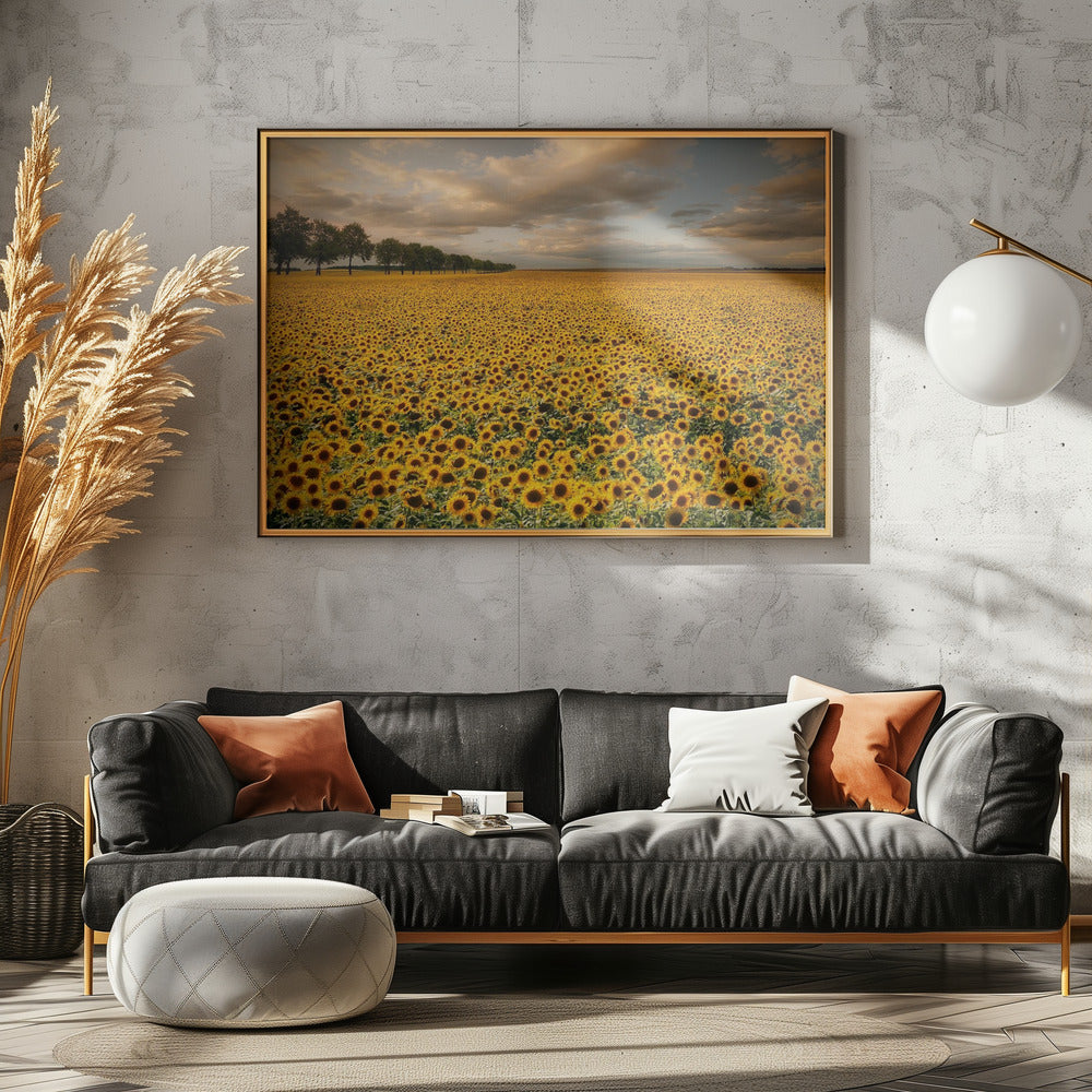 Zonnebloemen | Canvas