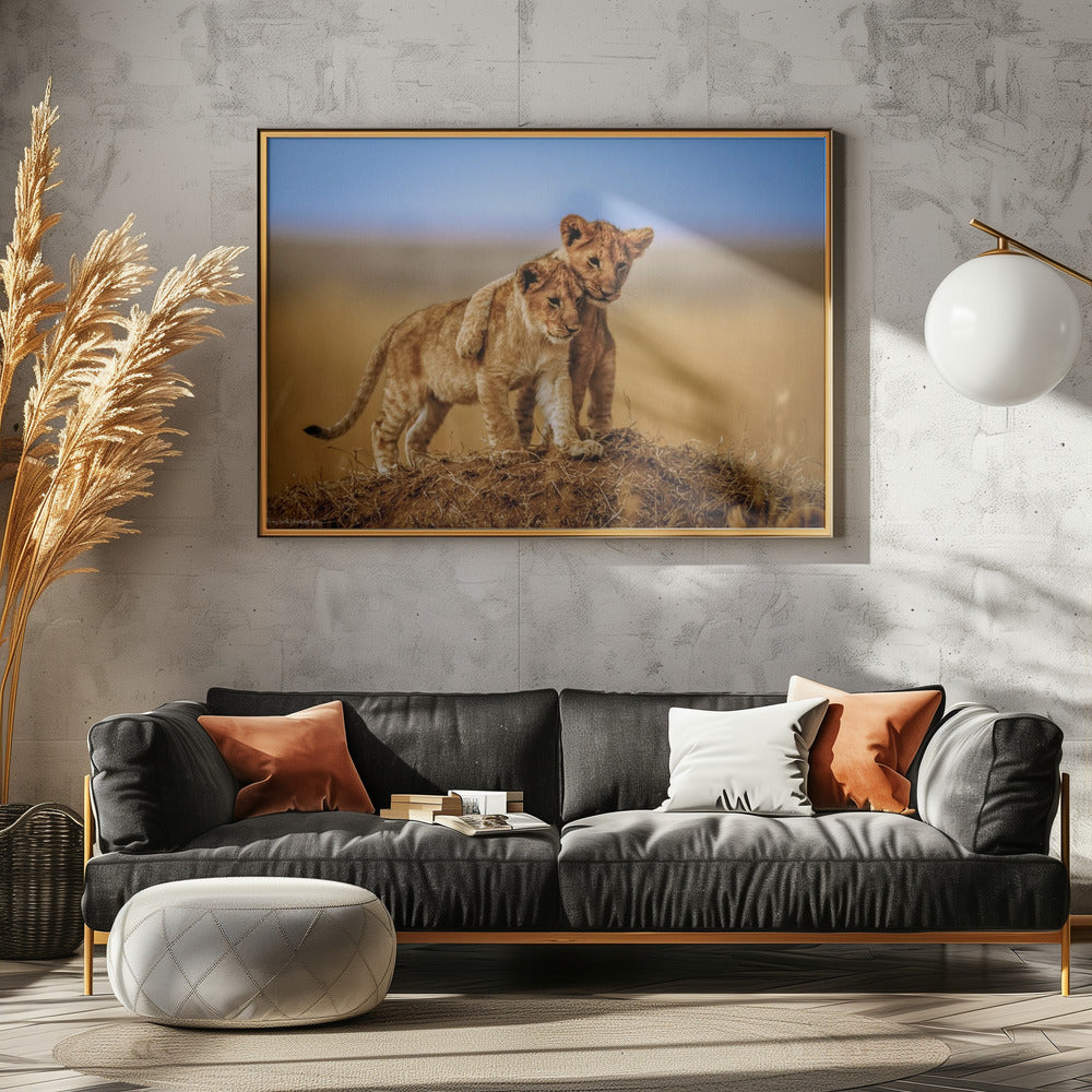Broeders voor het Leven | Poster