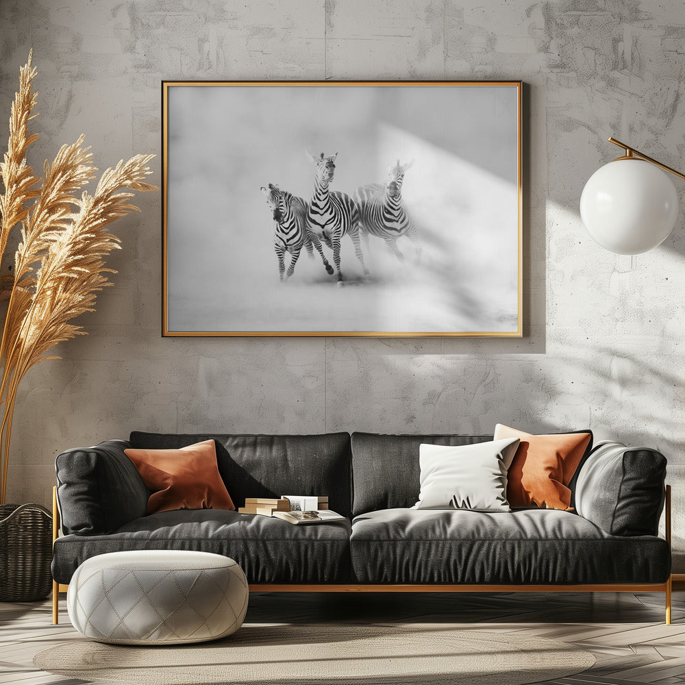 ZEBRAS | Poster