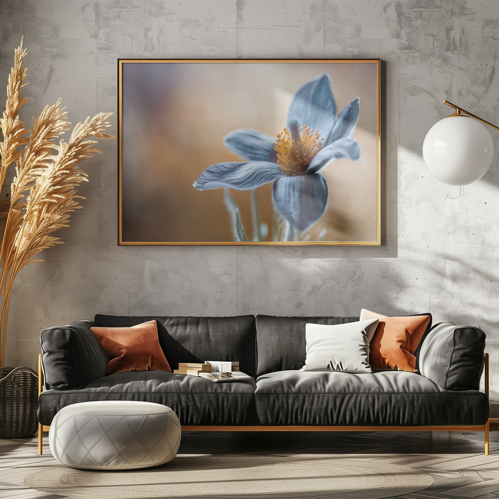 Pasque | Canvas