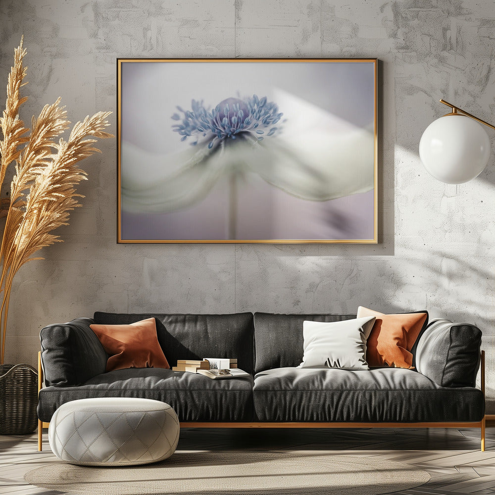 anemoon | Canvas