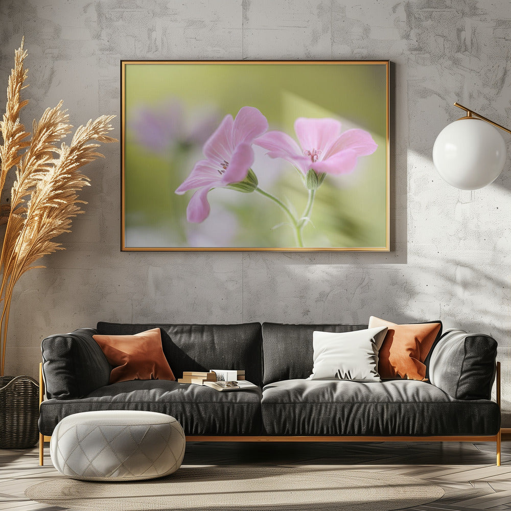 Roze Melodie | Canvas