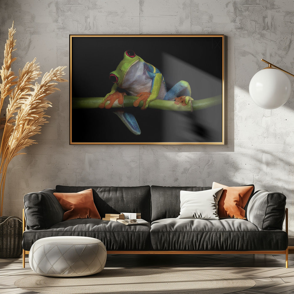 Nieuwsgierigheid | Poster