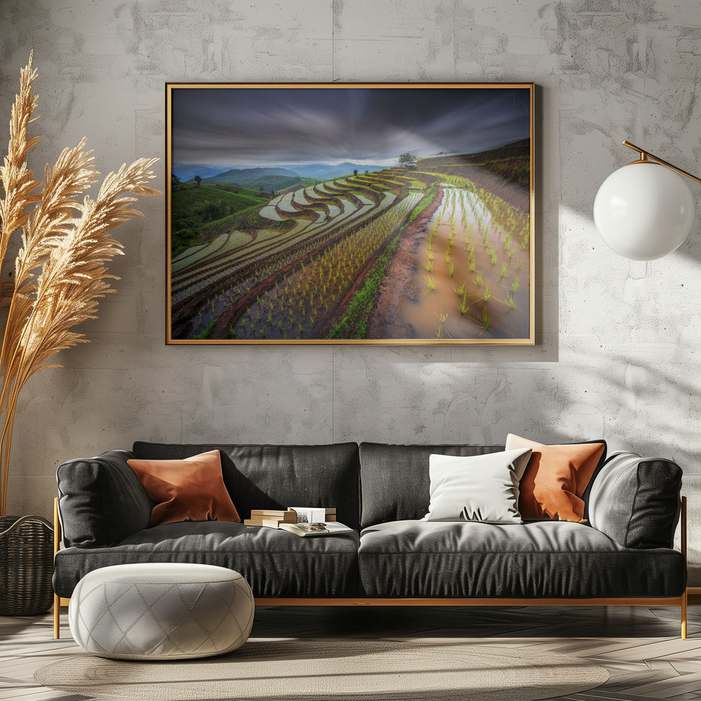 Ongeziene rijstvelden | Canvas