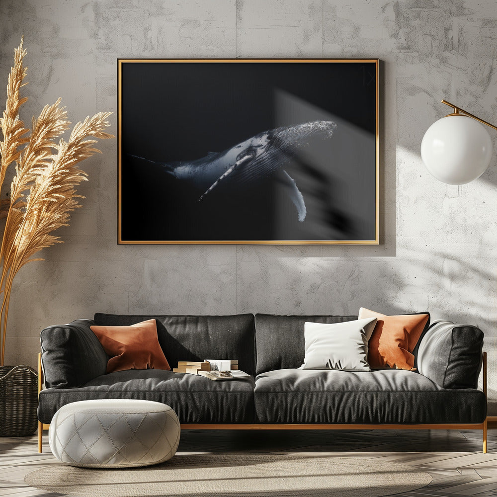 Zwart & Walvis | Canvas